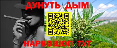 spice Гатчина