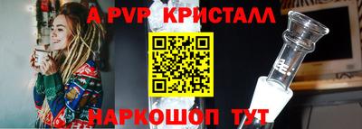 spice Гатчина